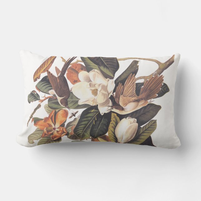 Audubon Noir Billed Cuckoo Lumbar Coussin (Recto)