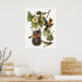 Audubon Oriole Poster (Keuken)