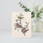 Audubon Painted Bunting Bird Wildlife Briefkaart (Staand voorkant)