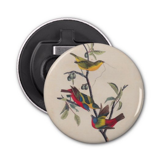 Audubon Painted Bunting Bird Wildlife Button Flesopener (Voorkant)