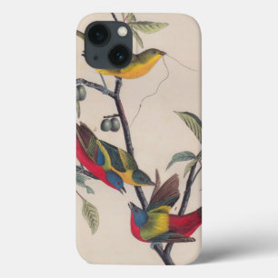 Audubon Painted Bunting Bird Wildlife iPhone 13 Hoesje