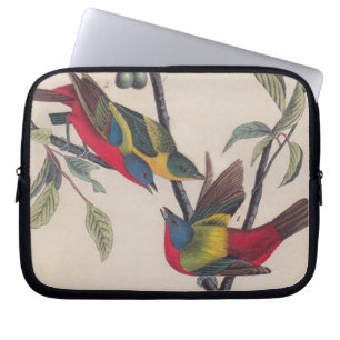 Audubon Painted Bunting Bird Wildlife Laptop Sleeve