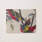 Audubon Painted Bunting Bird Wildlife Legpuzzel (Horizontaal)