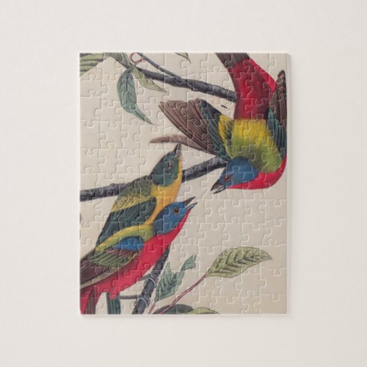Audubon Painted Bunting Bird Wildlife Legpuzzel (Verticaal)