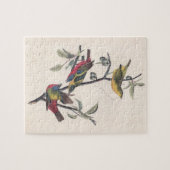 Audubon Painted Bunting Bird Wildlife Legpuzzel (Horizontaal)