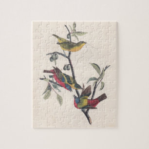 Audubon Painted Bunting Bird Wildlife Legpuzzel