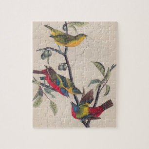 Audubon Painted Bunting Bird Wildlife Legpuzzel