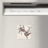 Audubon Painted Bunting Bird Wildlife Magneet (Insitu (Vaatwasser))