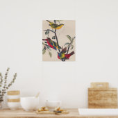 Audubon Painted Bunting Bird Wildlife Poster (Keuken)