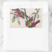 Audubon Painted Bunting Bird Wildlife Rechthoekige Sticker (Tas)