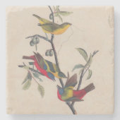 Audubon Painted Bunting Bird Wildlife Stenen Onderzetter (Voorkant)