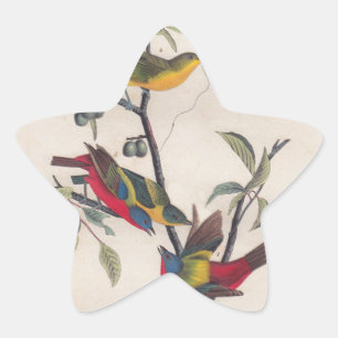 Audubon Painted Bunting Bird Wildlife Ster Sticker