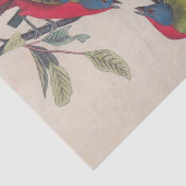 Audubon Painted Bunting Bird Wildlife Tissuepapier (Detail)