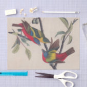 Audubon Painted Bunting Bird Wildlife Tissuepapier (Craft)