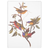 Audubon Painted Bunting Birds in a Cherokee Plum Klembord (Achterkant)