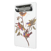 Audubon Painted Bunting Birds in a Cherokee Plum Mini Klembord (Angled2)