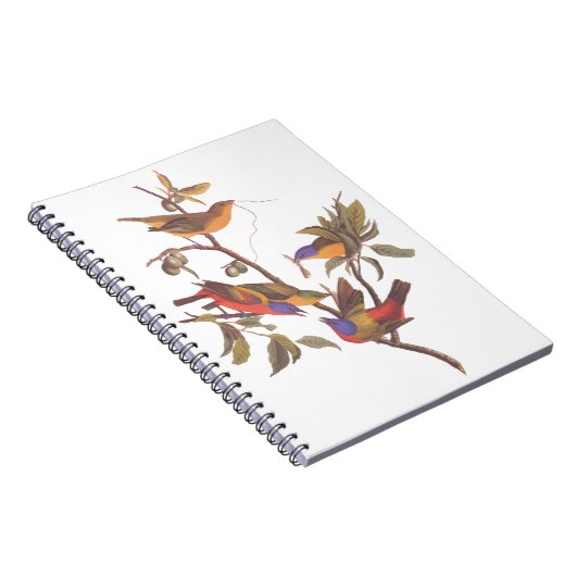 Audubon Painted Bunting Birds in a Cherokee Plum Notitieboek (Rechterzijde)