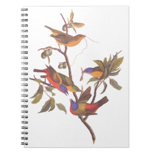 Audubon Painted Bunting Birds in a Cherokee Plum Notitieboek