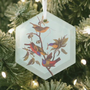 Audubon Painted Bunting Birds is Wild Plum Tree Glas Ornament