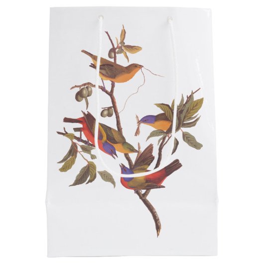 Audubon Painted Bunting Birds is Wild Plum Tree Medium Cadeauzakje (Achterkant)