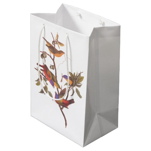 Audubon Painted Bunting Birds is Wild Plum Tree Medium Cadeauzakje (Achterkant Gekanteld)