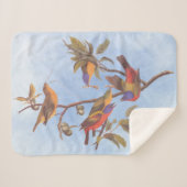 Audubon Painted Bunting Birds is Wild Plum Tree Sherpa Deken (Voorkant (horizontaal))