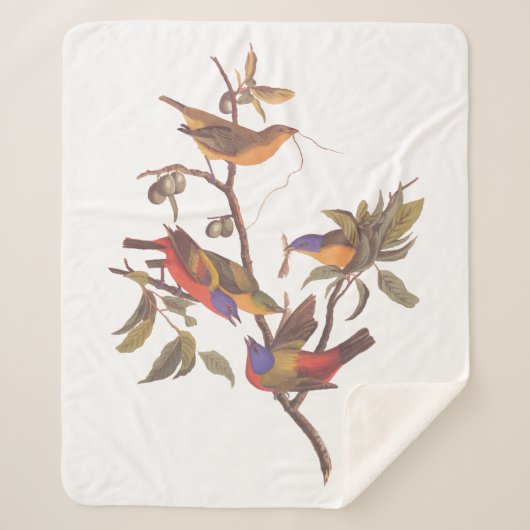 Audubon Painted Bunting Birds is Wild Plum Tree Sherpa Deken (Voorkant)