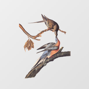 Audubon Pair van het zogende reizigersverkeer Raamsticker