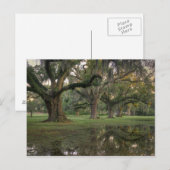 Audubon Park Rain Briefkaart (Voorkant / Achterkant)