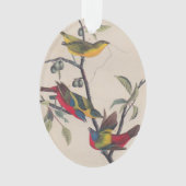 Audubon Peint Bunting Bird Wildlife (devant)