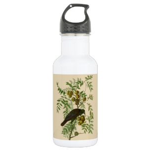 Audubon Purple Grackle Vogelprint Vintage Botaniek Waterfles