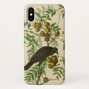 Audubon Purple Grackle Vogelprint Vintage Botanisc iPhone X Hoesje