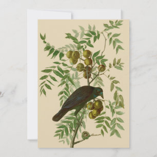Audubon Purple Grackle Vogelprint Vintage Botanisc Kaart