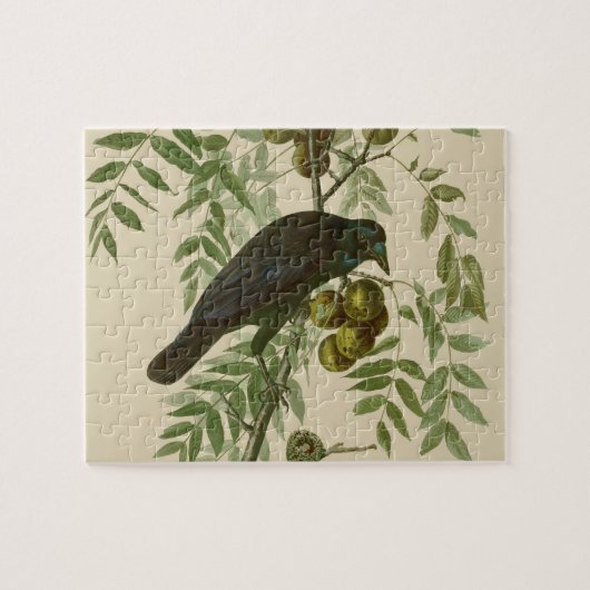 Audubon Purple Grackle Vogelprint Vintage Botanisc Legpuzzel (Horizontaal)