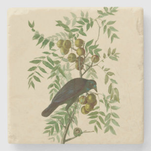 Audubon Purple Grackle Vogelprint Vintage Botanisc Stenen Onderzetter