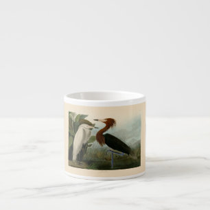 Audubon Purple Reiger Roodachtige Reigersoort Pren Espresso Kop