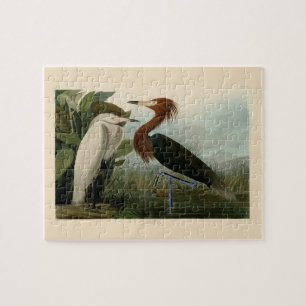 Audubon Purple Reiger Roodachtige Reigersoort Pren Legpuzzel