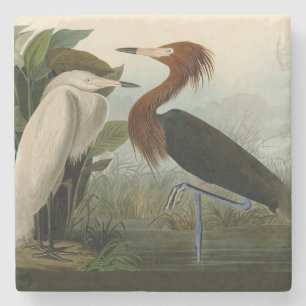 Audubon Purple Reiger Roodachtige Reigersoort Pren Stenen Onderzetter