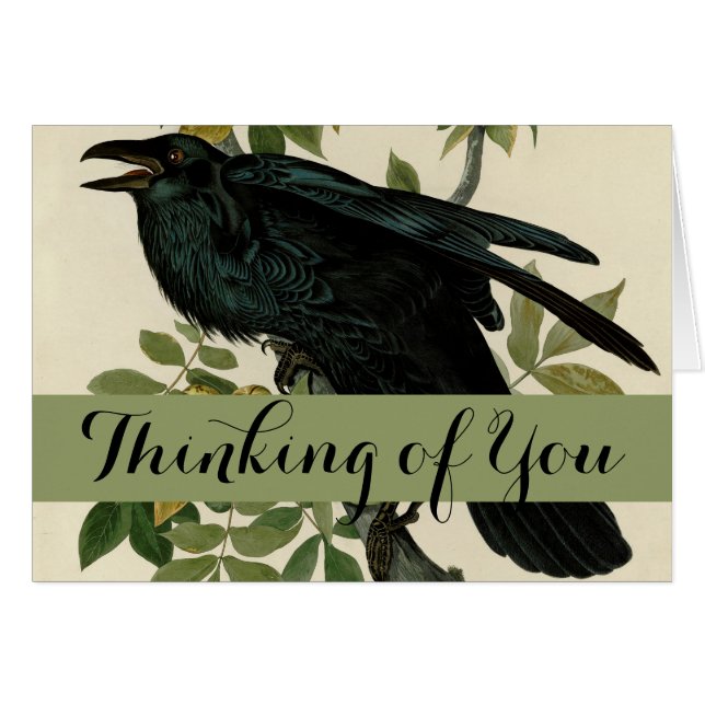 Audubon Raven Bird Classic Artwork (Voorkant Horizontaal)
