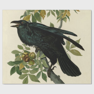 Audubon Raven Bird Classic Artwork Cadeaupapier