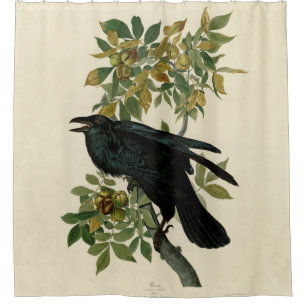 Audubon Raven Bird Classic Artwork Douchegordijn