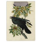 Audubon Raven Bird Classic Artwork Klembord (Voorkant)