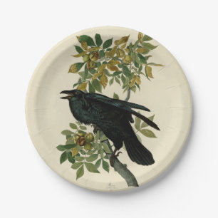 Audubon Raven Bird Classic Artwork Papieren Bordje