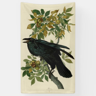 Audubon Raven Bird Classic Artwork Spandoek