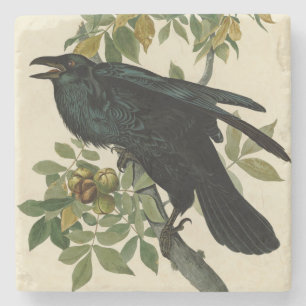 Audubon Raven Bird Classic Artwork Stenen Onderzetter
