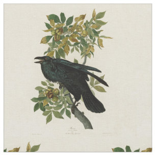 Audubon Raven Bird Classic Artwork Stof
