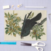 Audubon Raven Bird Classic Artwork Tissuepapier (Craft)