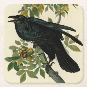 Audubon Raven Bird Classic Artwork Vierkante Kartonnen Onderzetter
