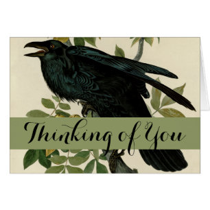 Audubon Raven Oiseau classique