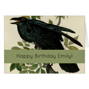 Audubon Raven Oiseau classique